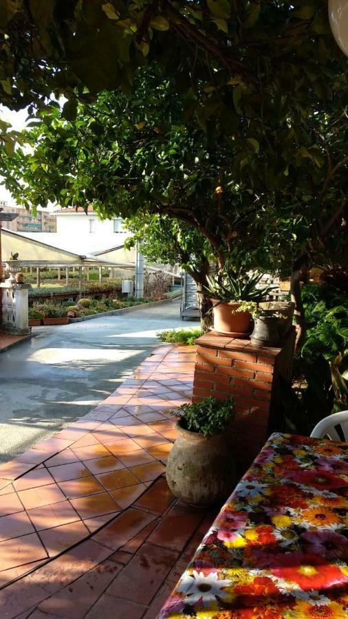 Ca' Federica Villa Vallecrosia Dış mekan fotoğraf