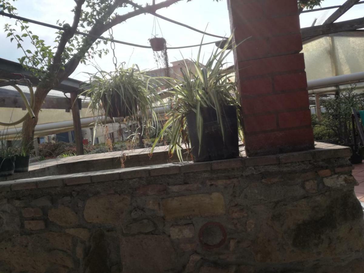 Ca' Federica Villa Vallecrosia Dış mekan fotoğraf