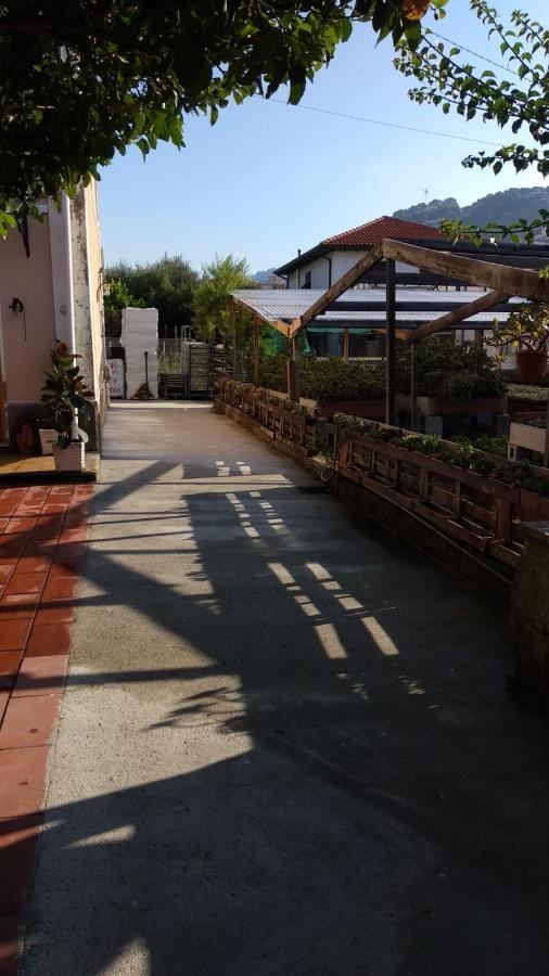 Ca' Federica Villa Vallecrosia Dış mekan fotoğraf