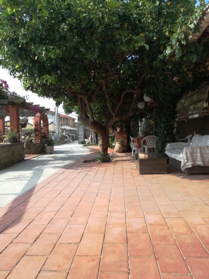 Ca' Federica Villa Vallecrosia Dış mekan fotoğraf